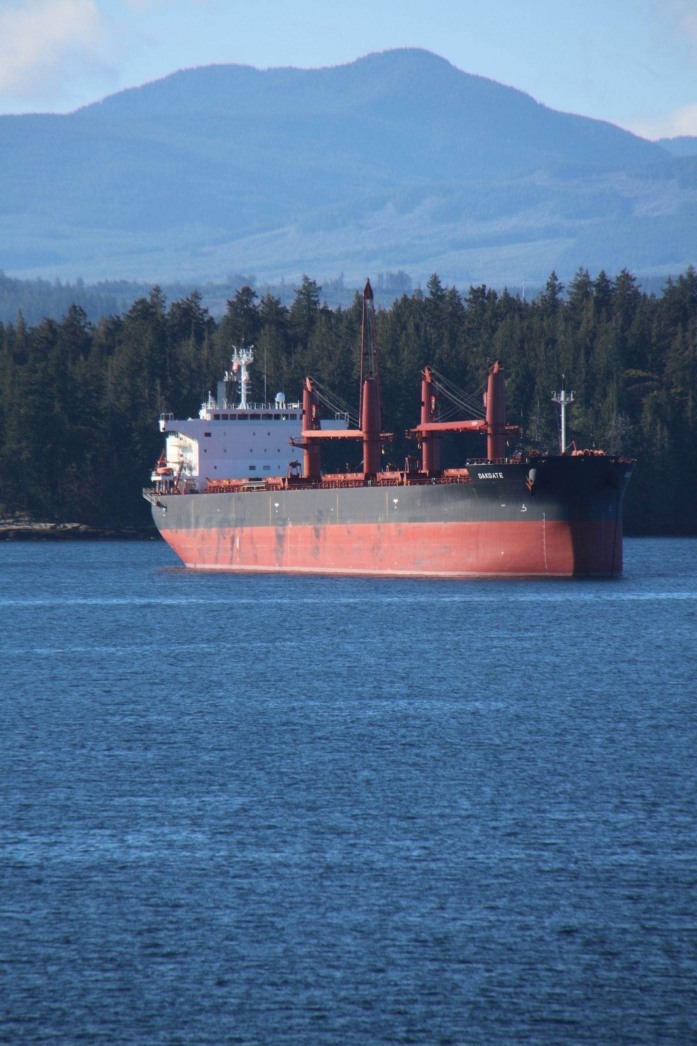 Bulk carrier at anchor off a wooded coast